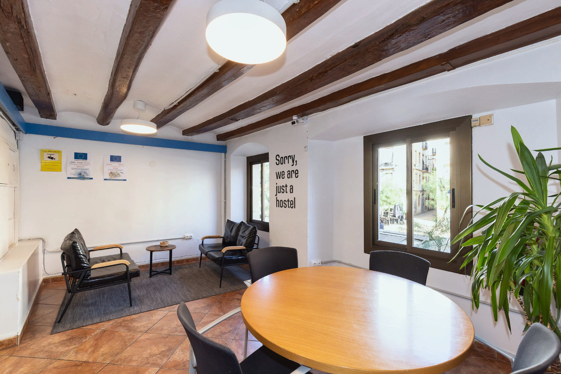 Salle commune avec une grande plante près de la fenêtre.